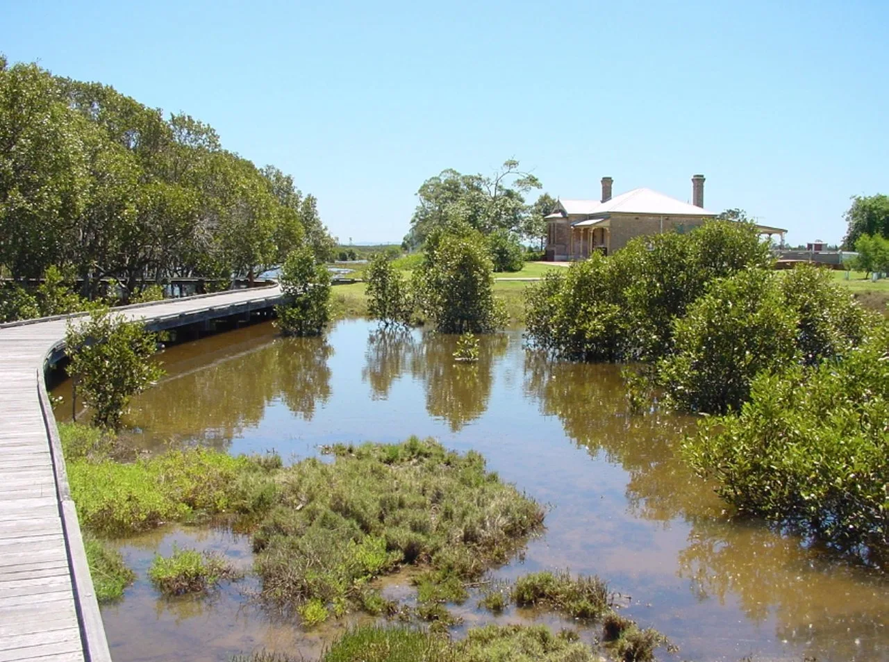 A timber boardwalk curving through tidal wetland toward the brick Schoolmasters House on Ash Island