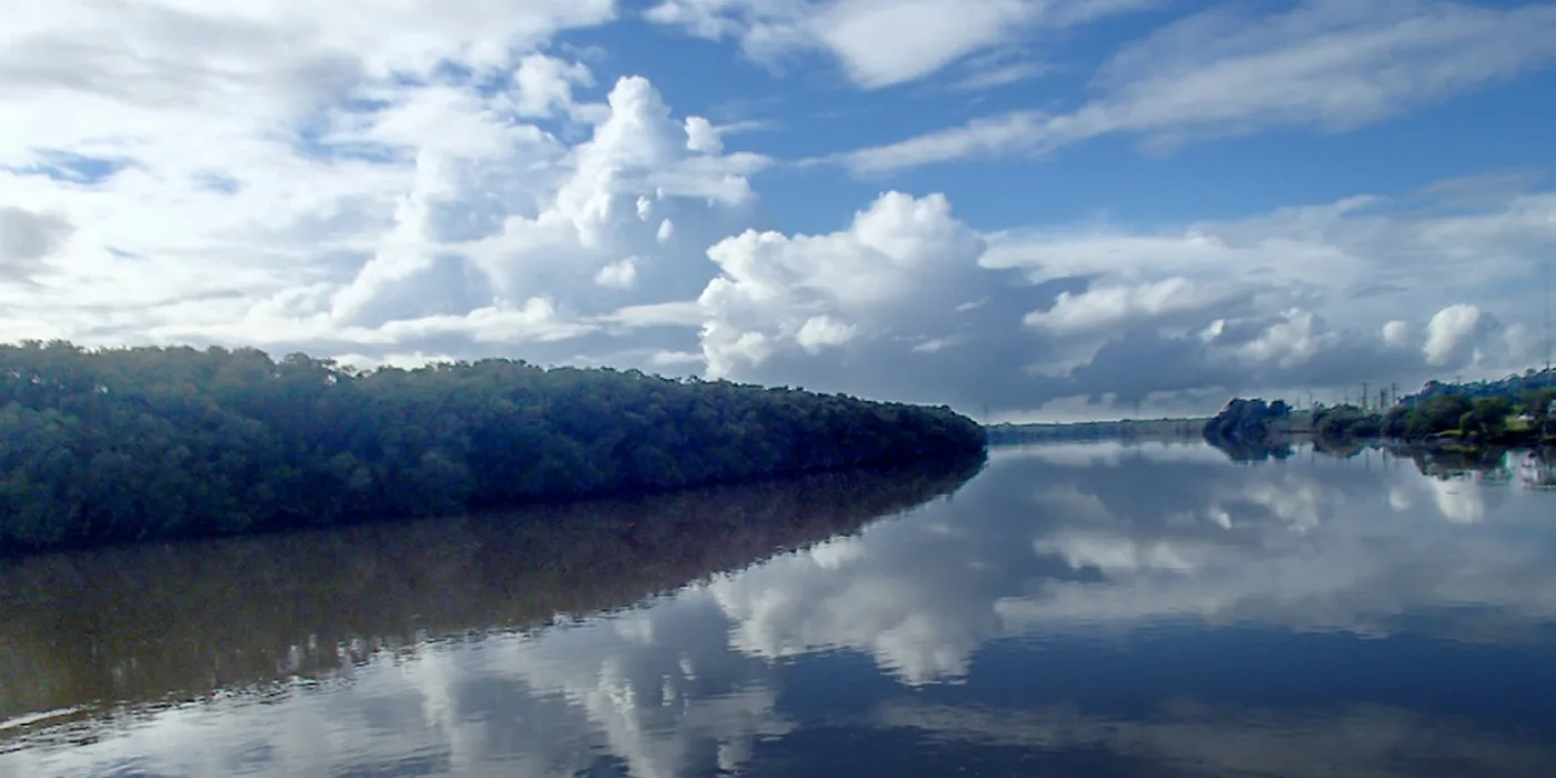 The Hunter River's tree-lined south arm under a towering cloud bank, mirror-still