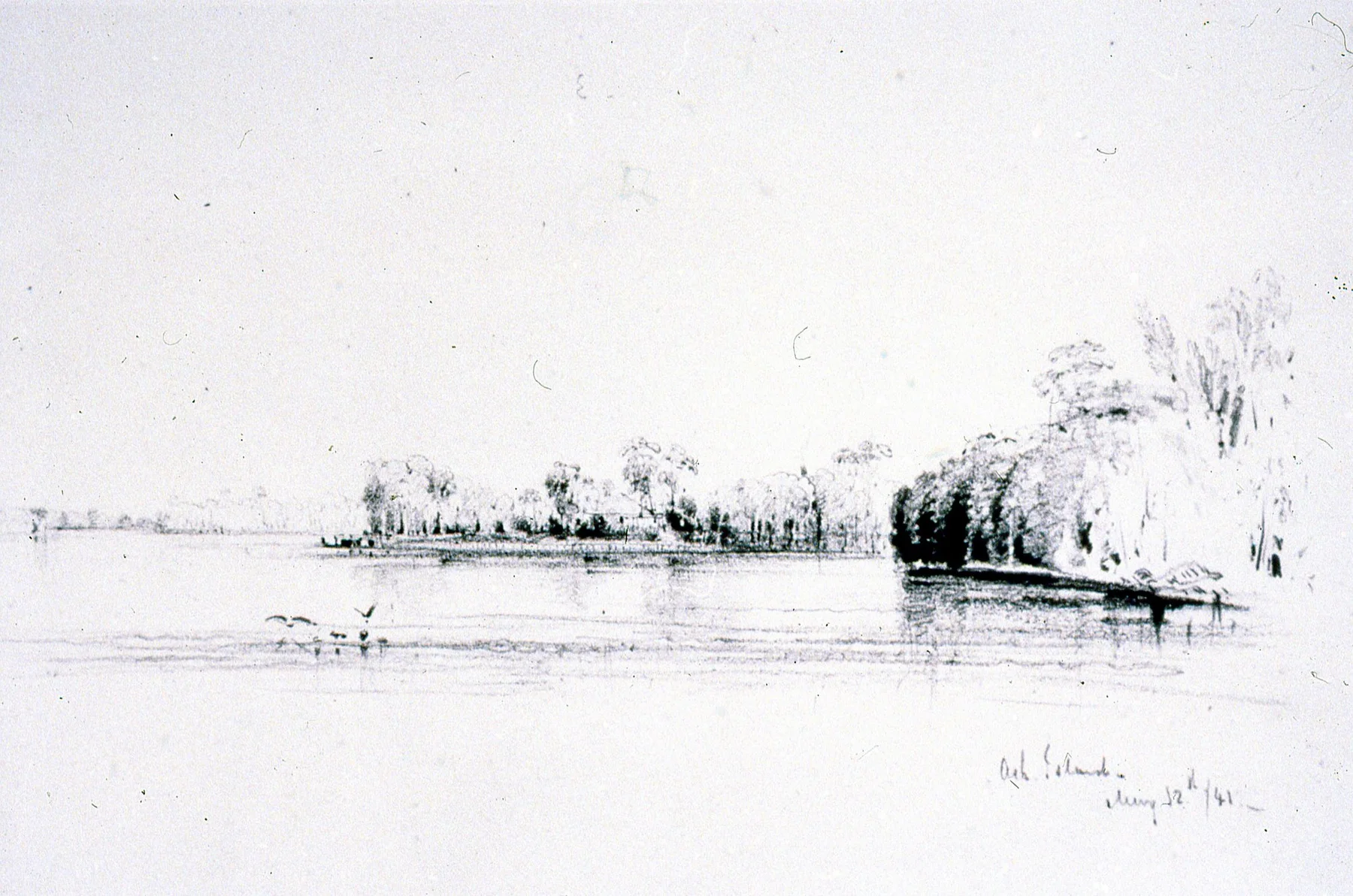 Conrad Martens' faint pencil drawing of Ash Island from the river, dated 12 May 1841