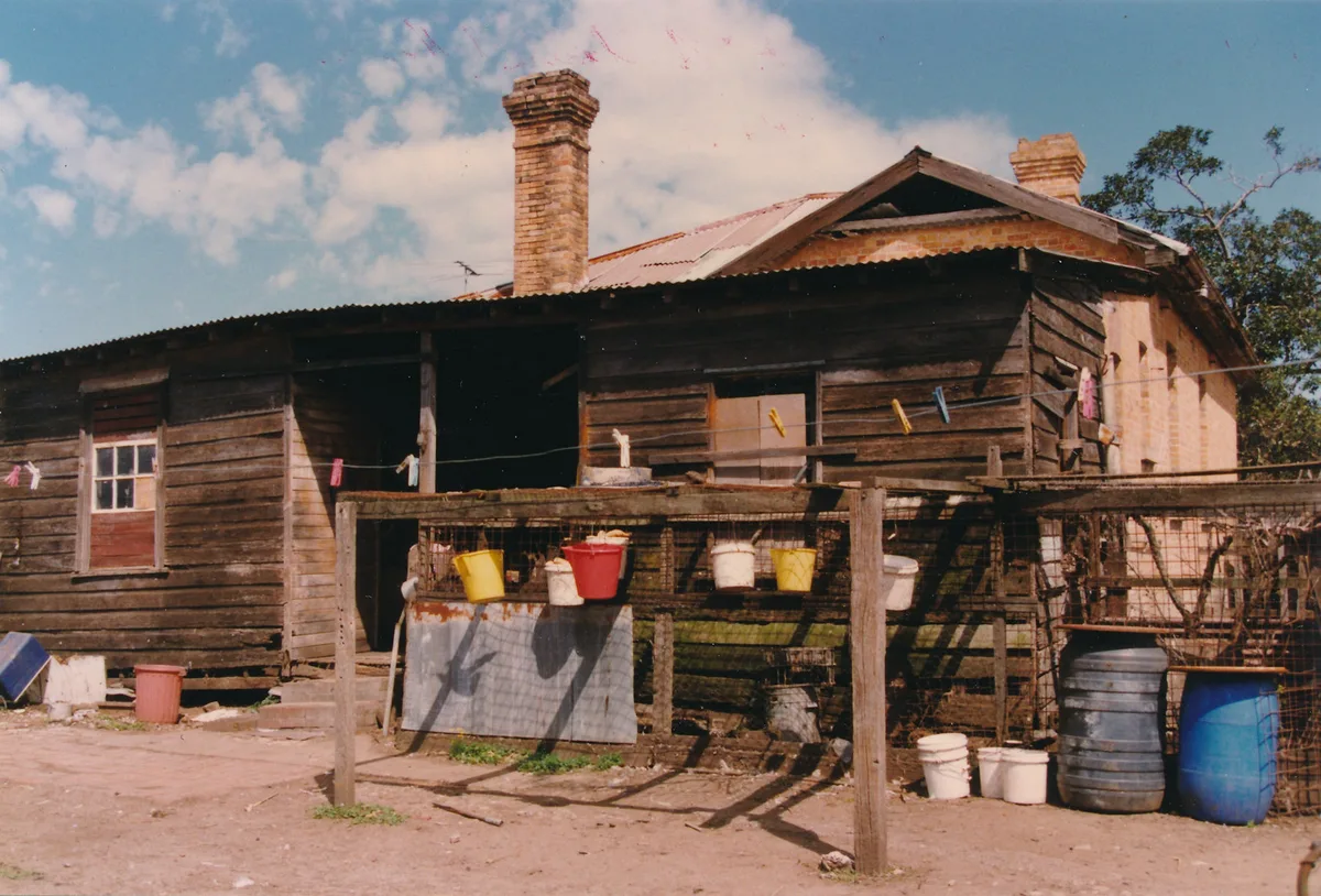 Buckets hanging along the chook-run fence in front of the weathered timber wing