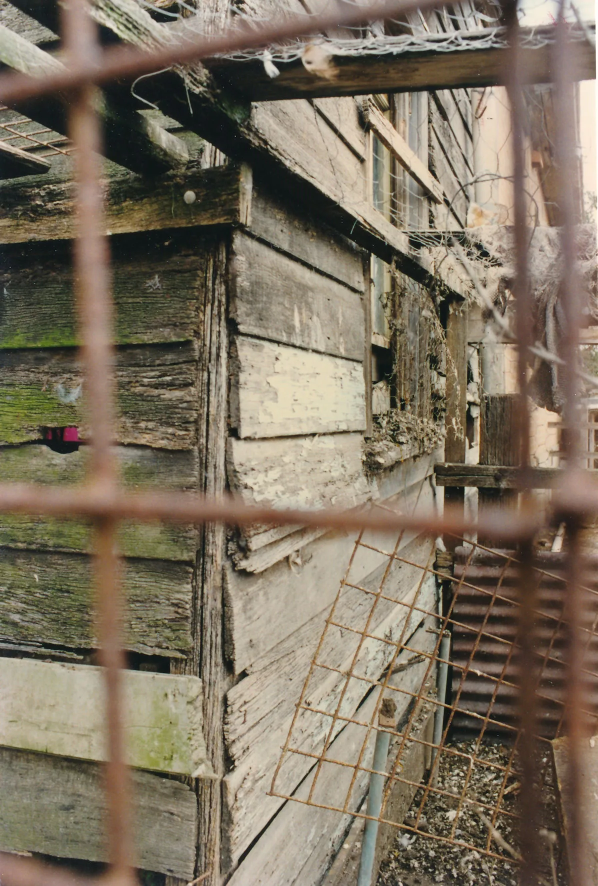 Decayed weatherboards and peeling paint seen through rusted wire mesh
