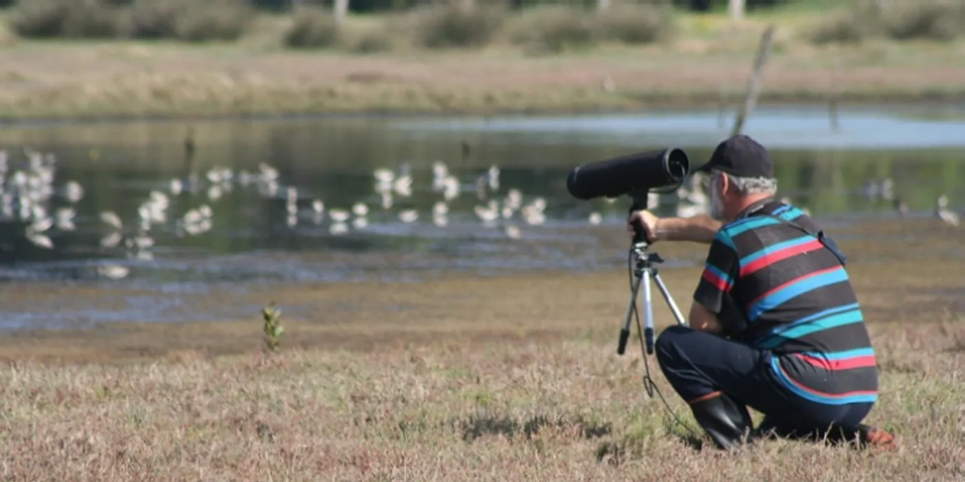 A birdwatcher crouched at a spotting scope as shorebirds feed across the shallows